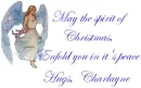 may the spirit of christmas