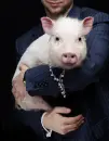 Man with pig.