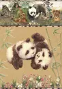 Pandas.