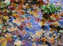Autumn.