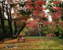 Autumn.