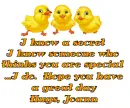 Secret Joann