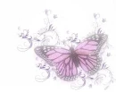 Batterfly