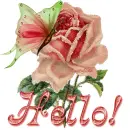 Hello