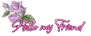 Purple rose with Hello
