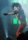 Bill Kaulitz Mowhawk  