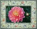 Flower.