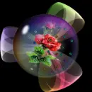 Rose Ball
