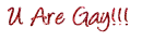 u gay!