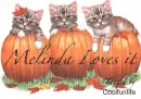 Melinda loves it kittys