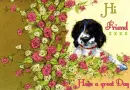 Hi Friend Have a great Day