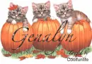 Genalyn kittys
