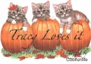 Tracy loves it