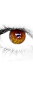 eyes for lies