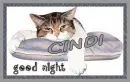 Good Night Kitty - Cindi