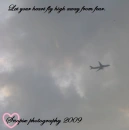 Freedom from fear 