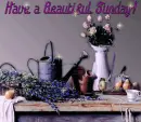 Beautiful Sunday