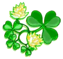 IRISH