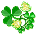 IRISH
