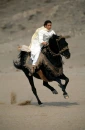 Gallop!