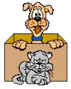 cat and dog