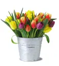 Flowers.