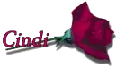 Red Rose - Cindi