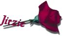 Red Rose - Jirzie