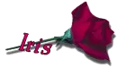 Red Rose - Iris