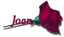 Red Rose - Joan