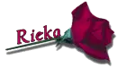 Red Rose - Rieka