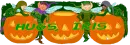 Pumpkin Hugs - Iris