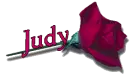 Red Rose - Judy