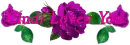 Purple Flowers - Cindi Loves You