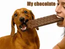 my choclate