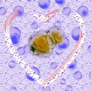 two