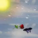 one