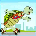 turtle