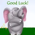 good luck baby elephant