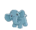 elephant dancing