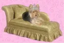 Yorkie Princess