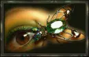 Gem Bug
