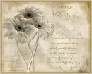 Fairy dust poem
