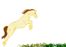 horse