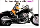 biker dog