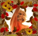 marilyn monroe,fall