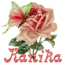 Kanika