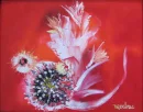 Cactus Flowers