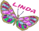 Colorful Butterfly - Linda