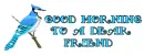 Good Morning